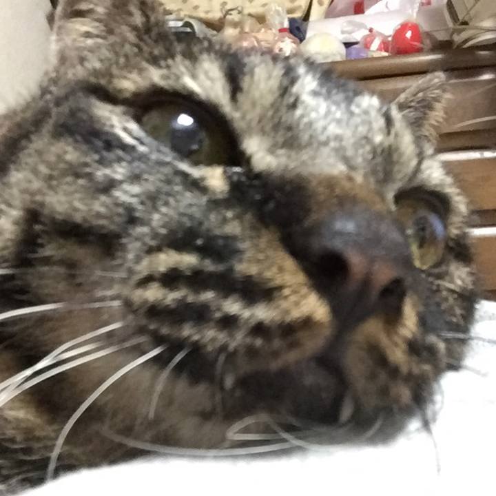 0fde9a11 6b91 4a90 930f 586af9a0dabd 1602147465541