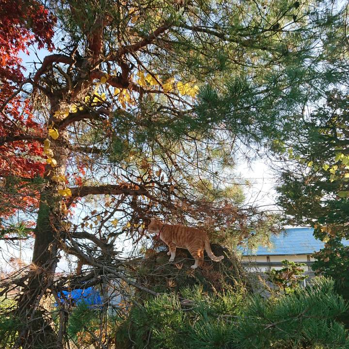 0fdebae5 8548 43aa a56b 110edddf08ac 1573974255568