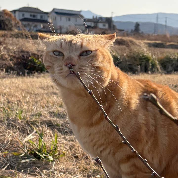 0fdedace 5c82 42b7 b3ac 2896d381e6de 1772365093823