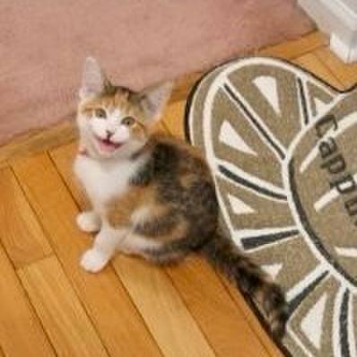 0fdee549 4c0f 420e 8ef4 8c51f2499da8 1763781163627