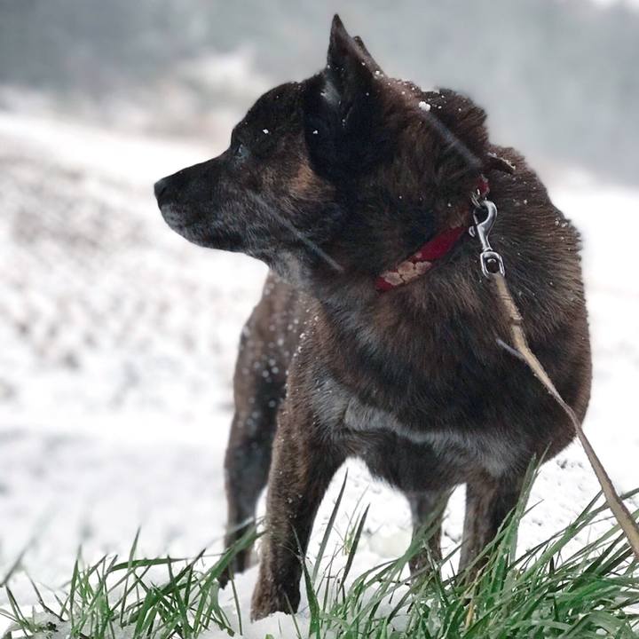 0fdf07d8 fa4d 421a 84a6 4bad0207da41 1553379193763