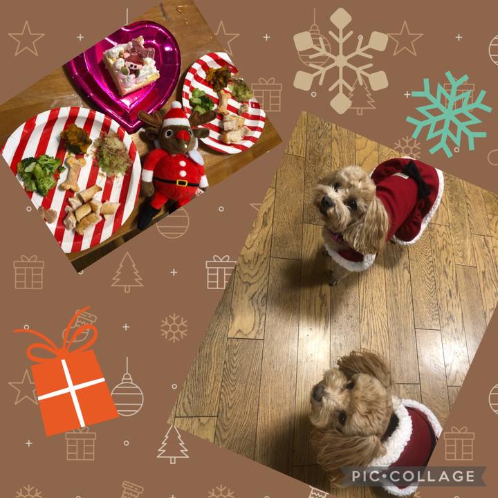 0fdf2321 07a6 4557 a416 260993545d99 1640439030561