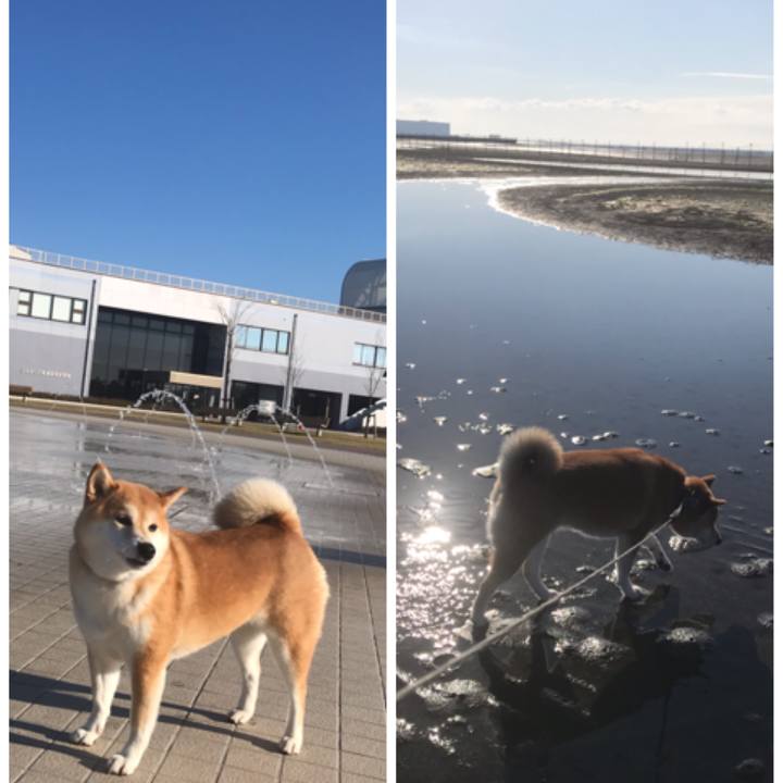 0fdf5336 aaee 4653 b5dd ee33b188e753 1541214934387