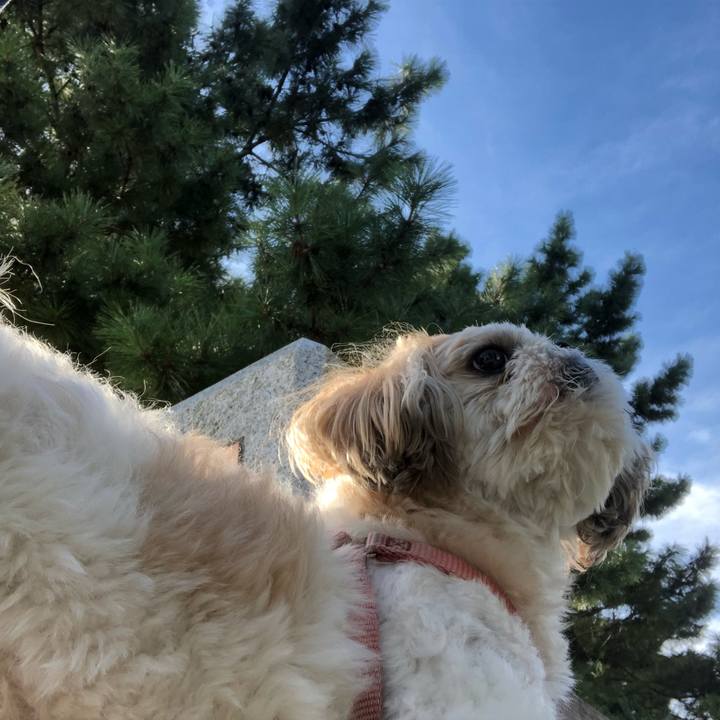 0fdf778d 8ba4 4ca0 9fa4 cabecbf50bb9 1534638767788