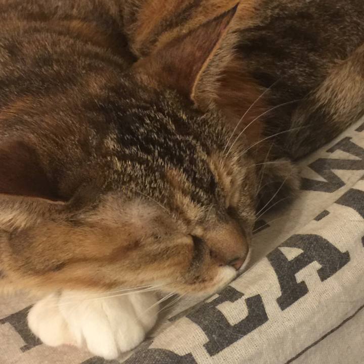 0fdf881c d435 44bc 90ba df11da10b573 1547477292758