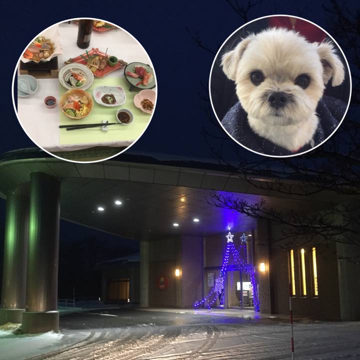 0fdfb11e df11 4904 9445 5633e3b1da55 1512653297163