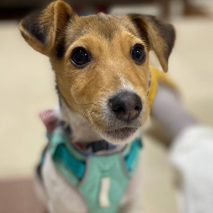 0fdfcd49 43d4 4dbb 877c 46311d728f2d 1745647596820