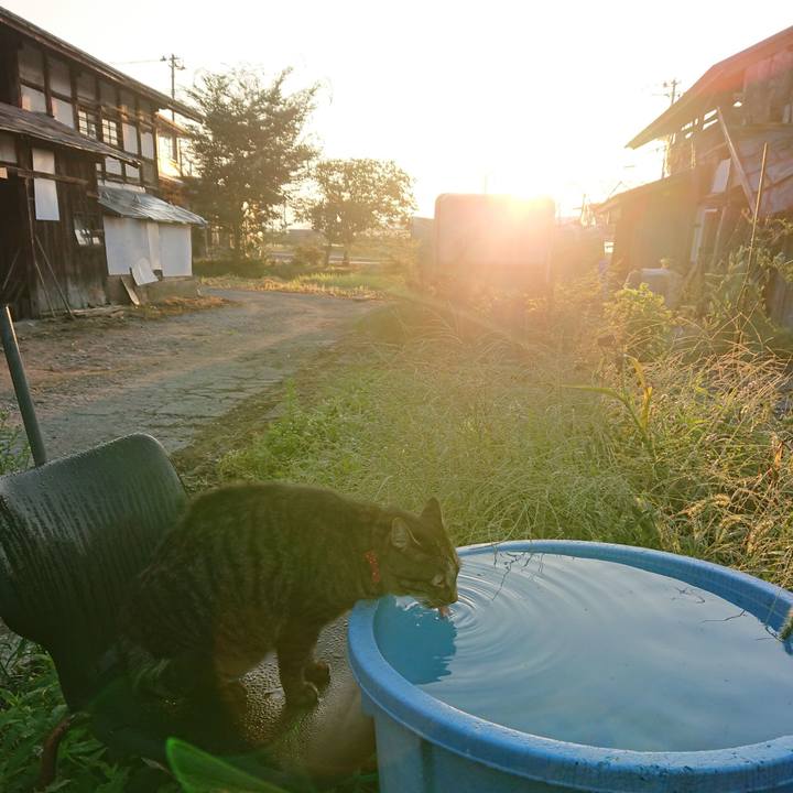 0fe00ba6 20d6 4b81 a778 f1d66431076d 1662843416324