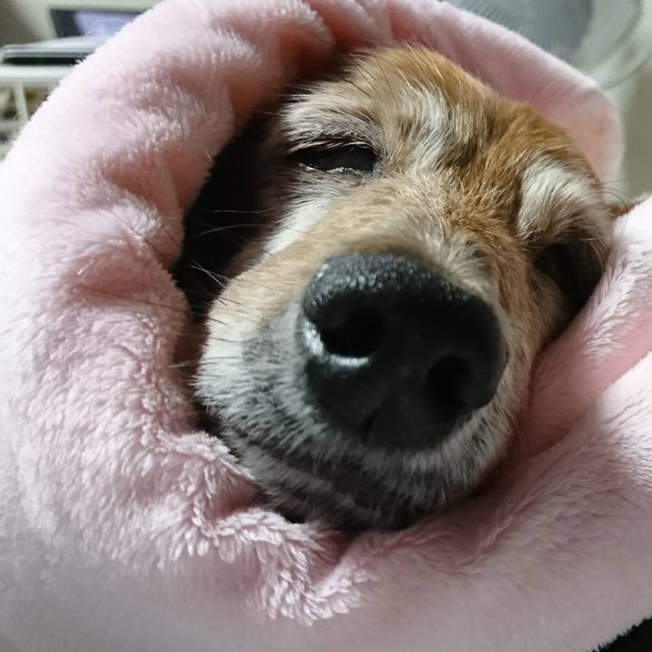 0fe01f40 54c2 47a7 b4e8 fa986364df72 1507967702052