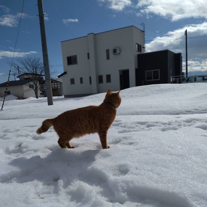 0fe02d34 0d03 4b5f 9877 7432d46bd8c7 1674182444550