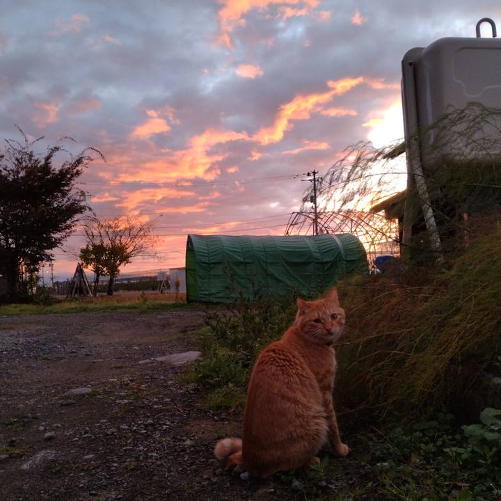 0fe0337c adef 4ed1 8094 b5e3cf31c9cd 1667771151555