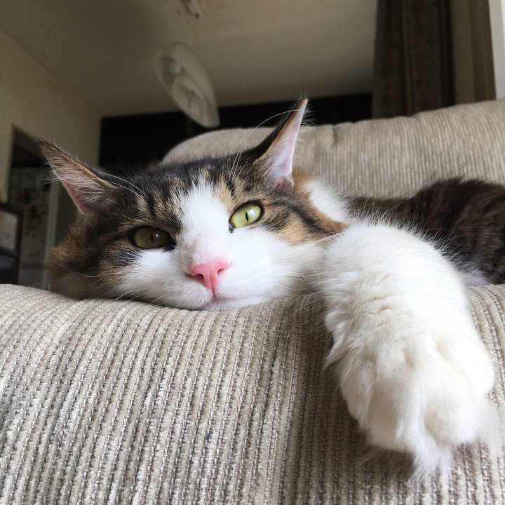 0fe0bdf3 18d8 4c31 be00 7b071c3e3298 1538213918590