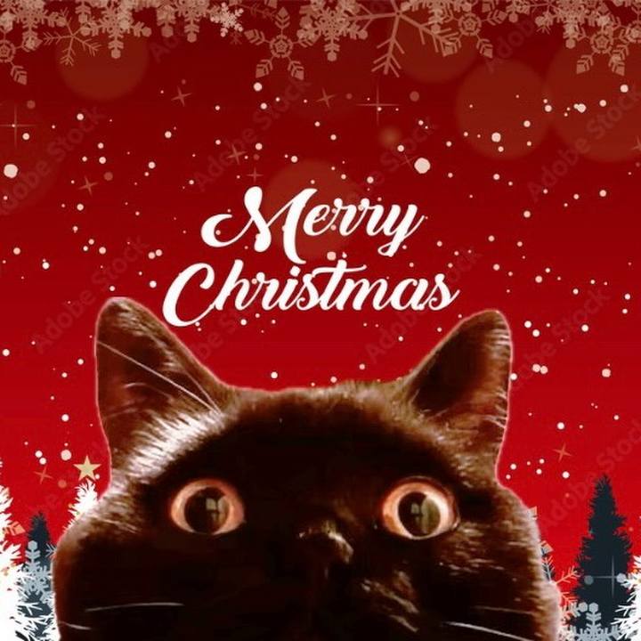 0fe11a68 ed68 4561 a241 696de89aa167 1735124906360