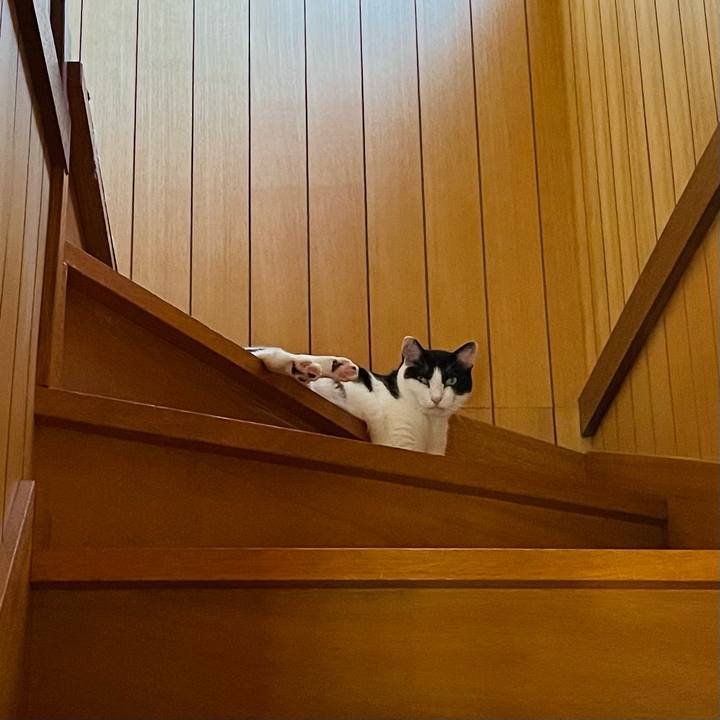 0fe1339b 360c 4848 bc73 9adefe2d0a3c 1662860055919