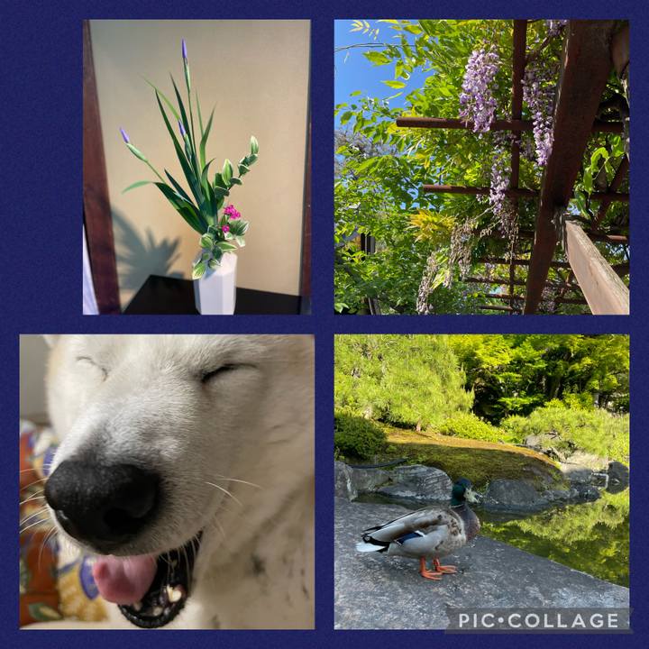 0fe1543c 659d 4992 bd71 a8ea60a33837 1682636037995