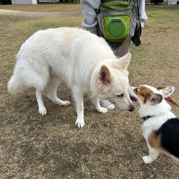 0fe15fbf 106b 43d3 b80b 7bb7e466de72 1762932257017