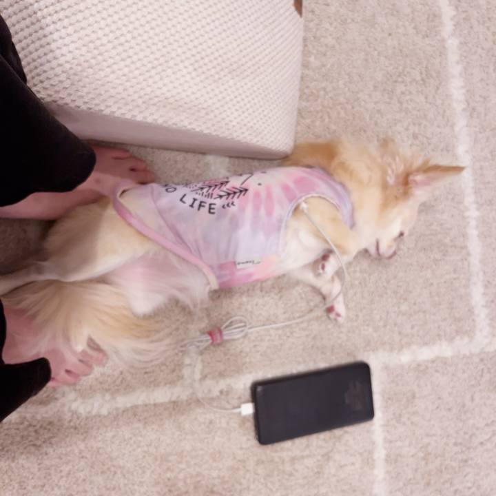 0fe160d5 2b60 4d52 bb07 11683b9e07f5 1751807654754