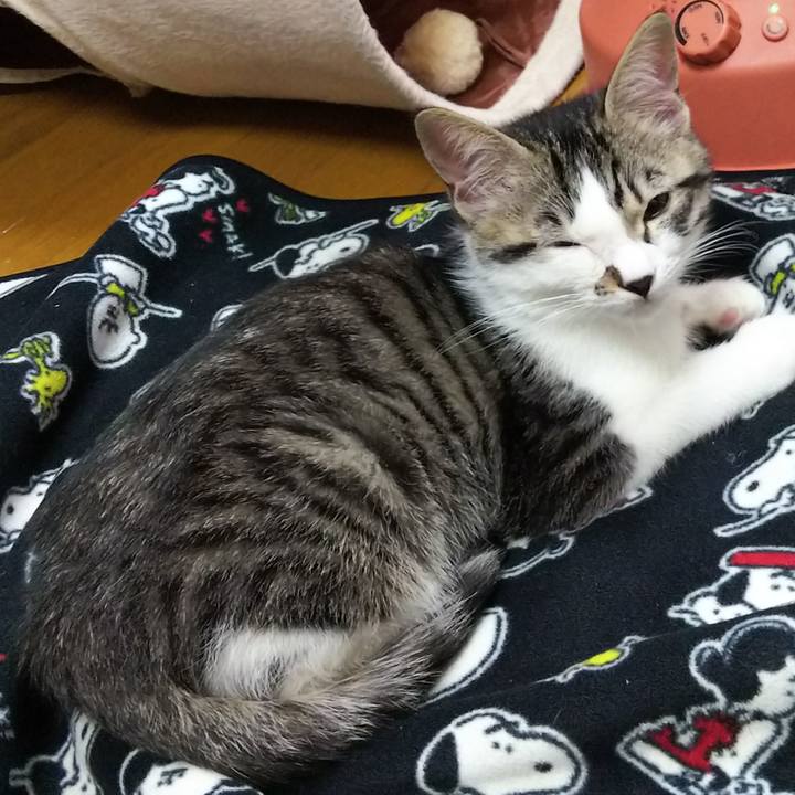 0fe1865b 310b 4366 88dc cb3a38bfcf00 1608988153531