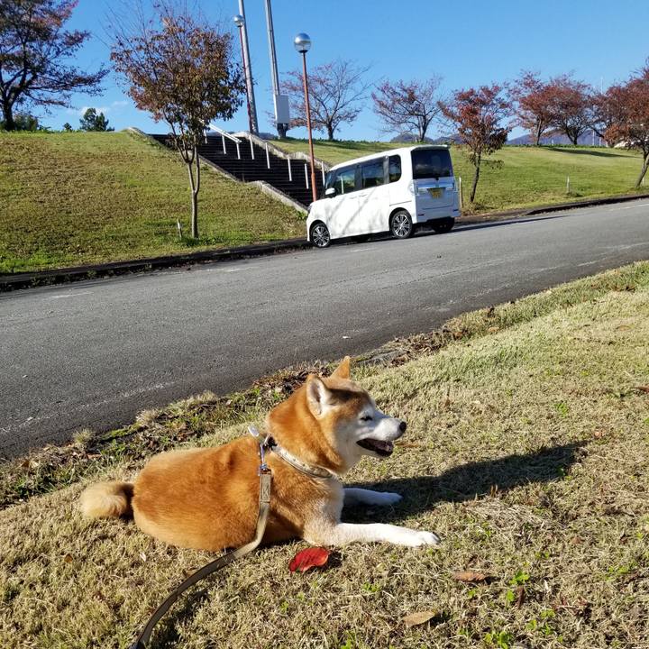 0fe188d2 0e23 49a9 9d2c 6ef906c58d0d 1666934454143