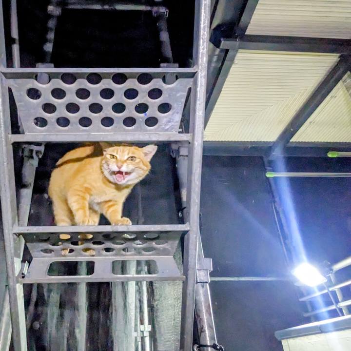 0fe1a713 3694 4a82 8cde 45f7c97be861 1772362999157