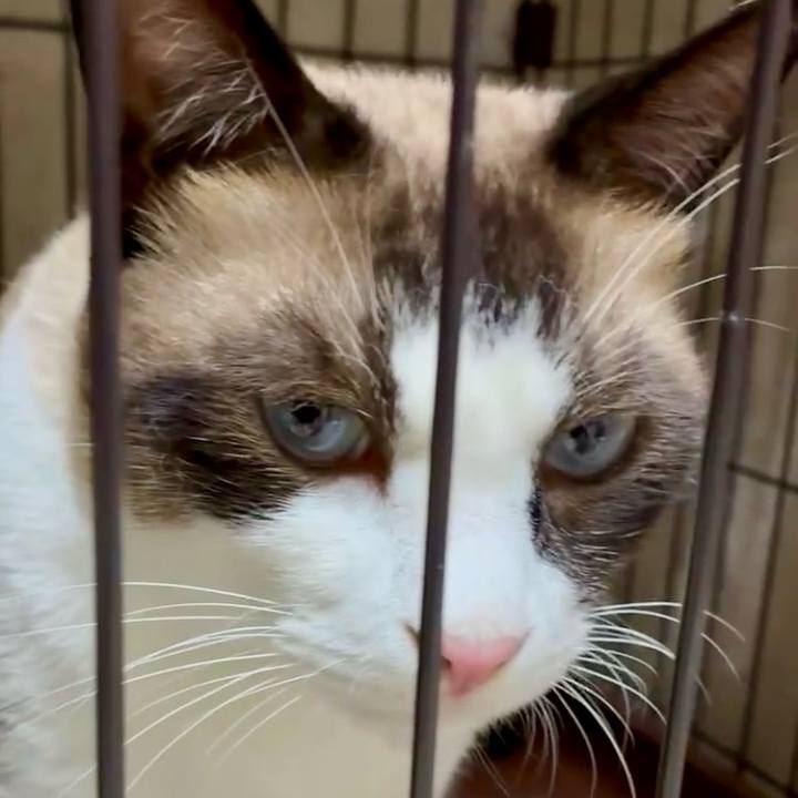 0fe1b705 c518 49fe bb78 c735765f0b76 1754772359716