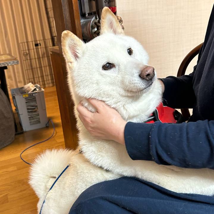 0fe21140 f5f8 4571 bb84 7e5d18a16397 1708852649019