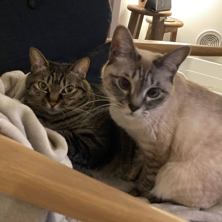 0fe22d0c ebdc 4644 b401 1713a0c50a64 1674215066068