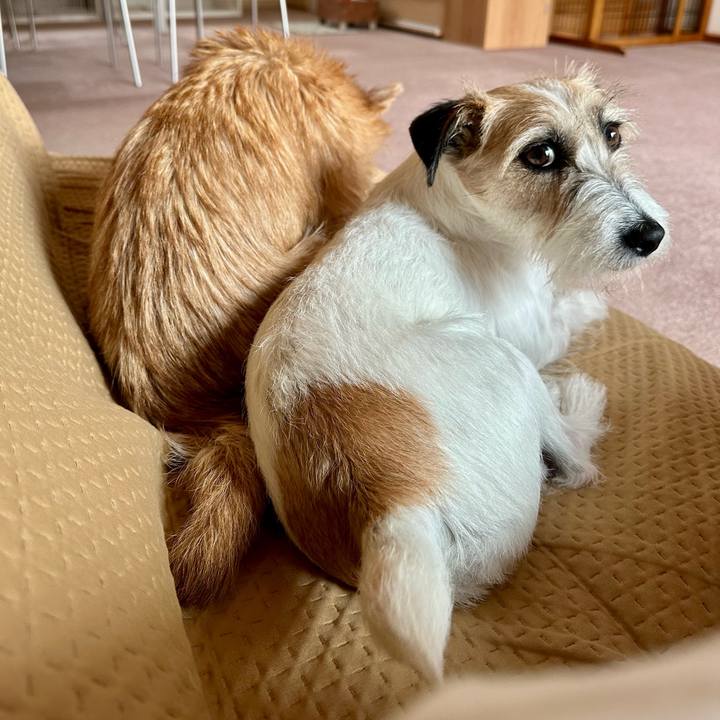 0fe26282 405a 453d 8724 8e6eb1f3351e 1718279326042