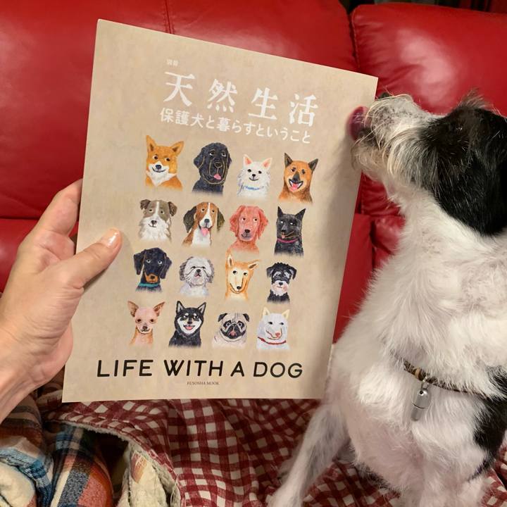 0fe284c4 e609 4598 b29e 452ab31a341d 1633952255264