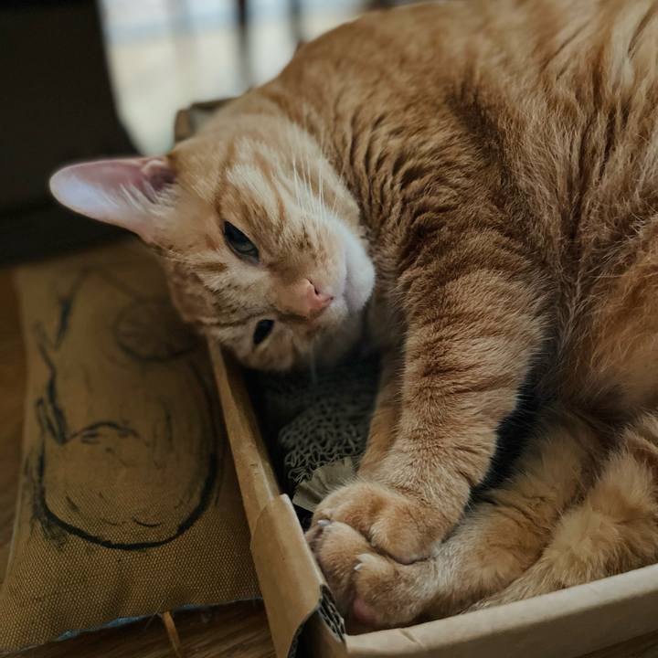 0fe2be9f 7a99 486f 81eb daf7c3617215 1662072743827