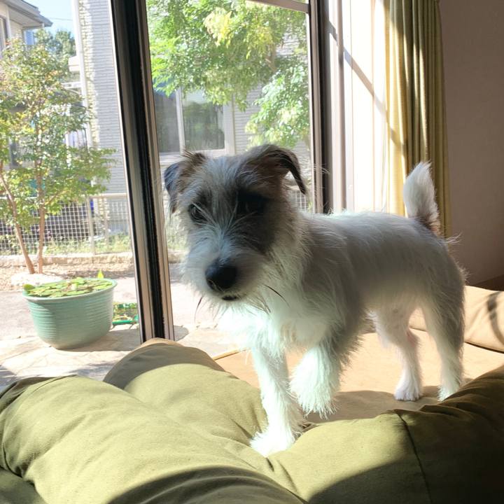 0fe2bed8 34b9 4034 86f1 266685ae4e3c 1570583520918