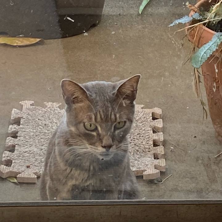 0fe2c4b1 c6b7 4557 a51f ab58897c70eb 1577590745788