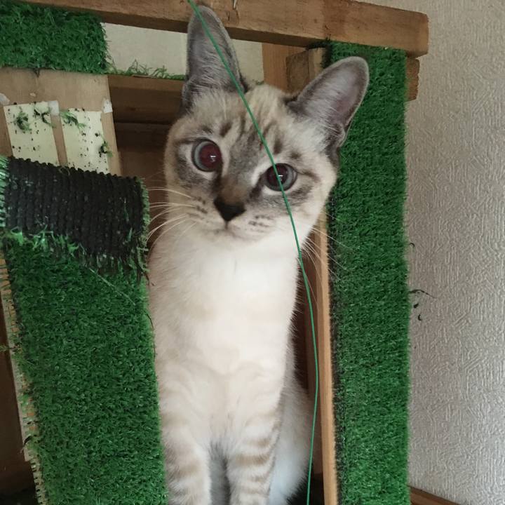 0fe2db5c 5b43 4161 a86d 871a5601af3b 1543706182242