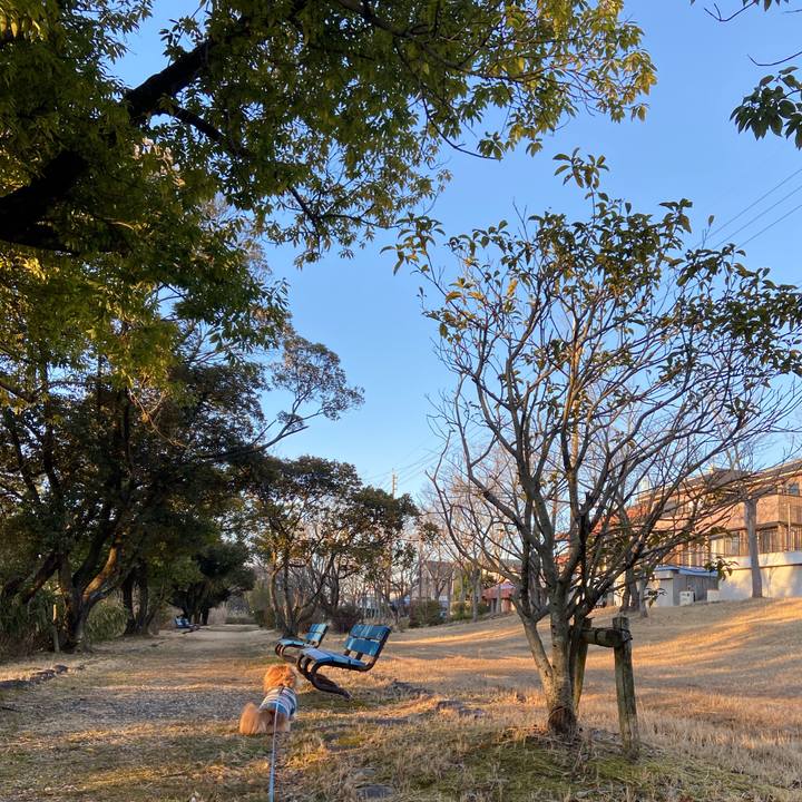 0fe30353 c8b3 4170 8be8 e7559e8d47e1 1581210271485