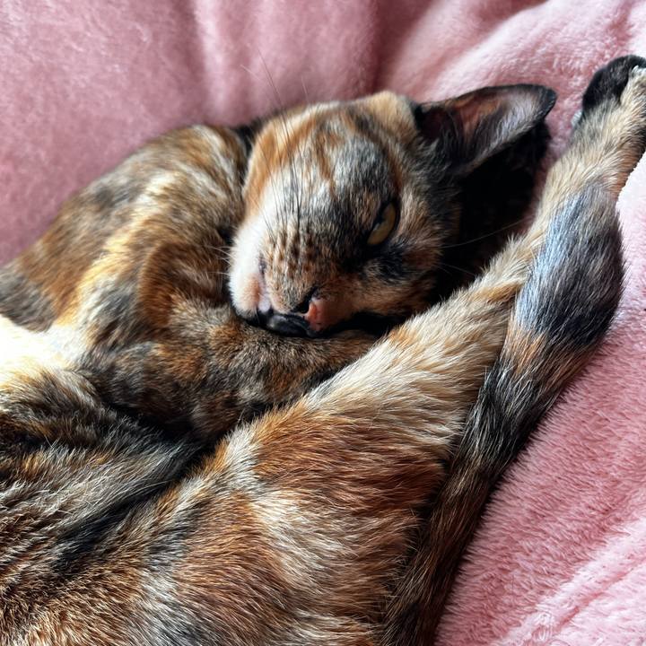 0fe357d8 f6b0 4822 a0f4 7eeef1bfe045 1735443543310