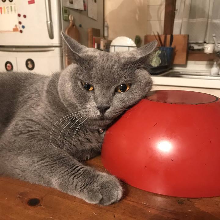 0fe367e9 58f3 45b2 9571 127150368961 1535455912625