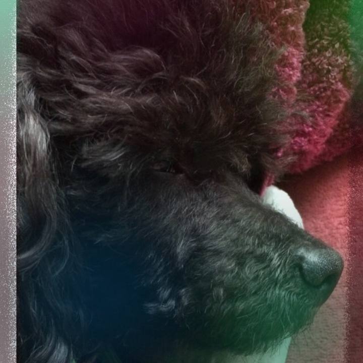 0fe36850 f06d 48a4 8934 f5fa28420d2f 1519860830780