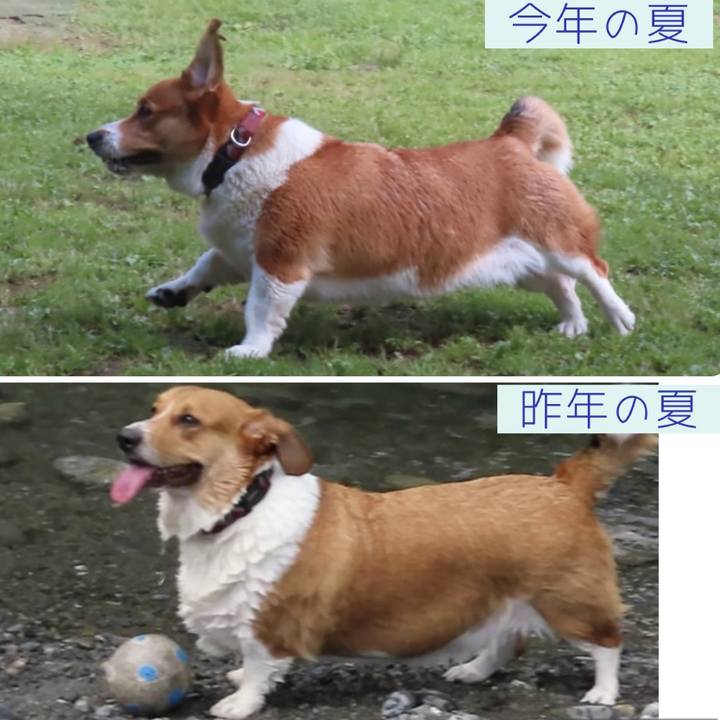 0fe36948 7a99 431d a986 afedfde55208 1693273188851