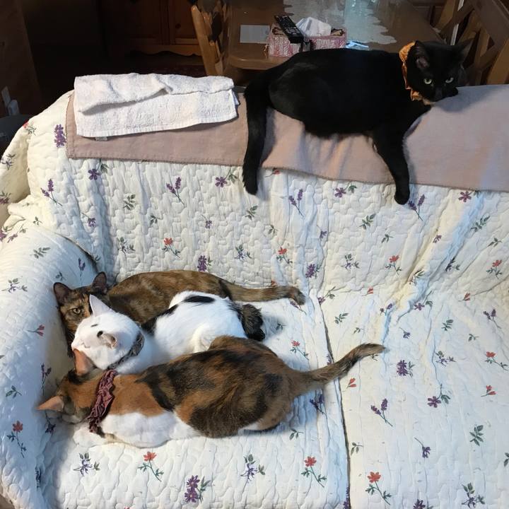 0fe3705a 83fb 4c6c a2ef 232291d73f4e 1630192700533