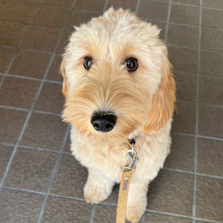 0fe3cce6 612f 47f7 bd81 afd14b32afb5 1696458071020