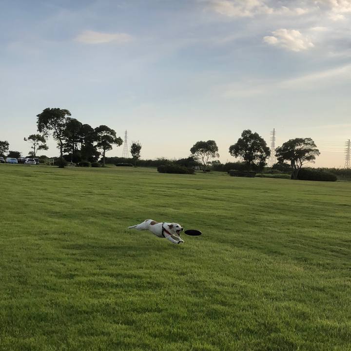 0fe3d3d1 4420 4ff5 8e5c bf58bf9721ee 1535632856508