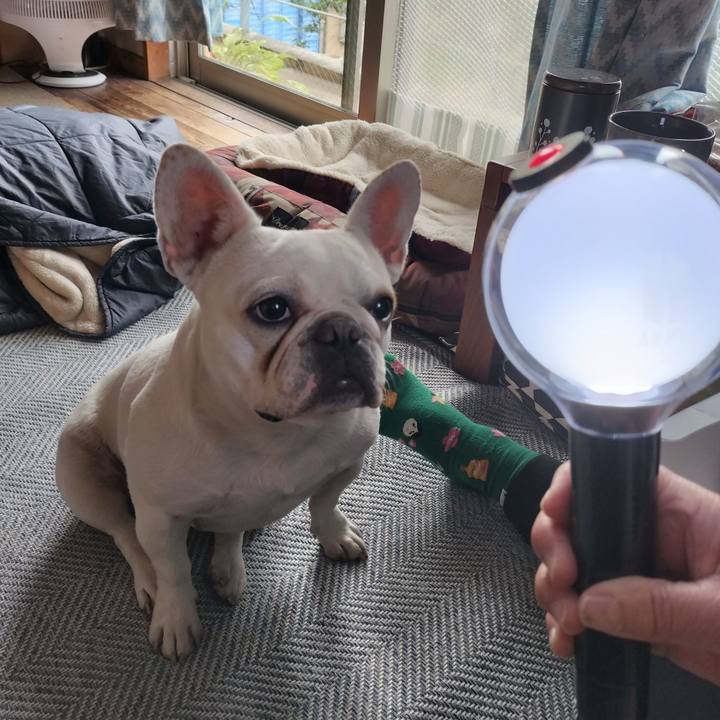 0fe413e9 6fcf 4e99 bdd7 3f99fbd5e2ef 1682412807433