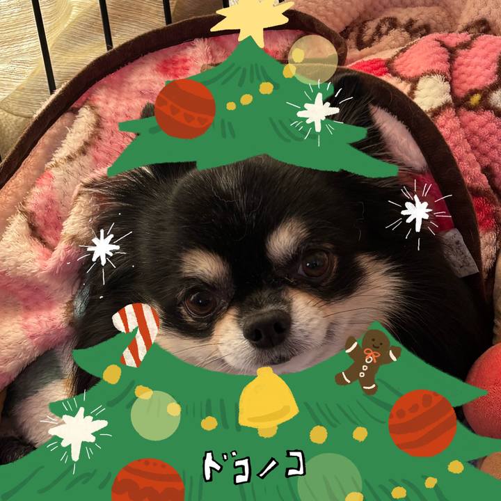 0fe41914 640c 43c0 99fd a23cdb549aad 1763558684311