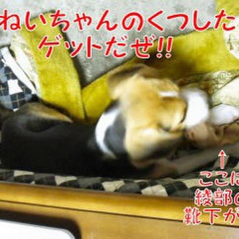 0fe44dc2 7c12 4a2e 94e8 cdb833c38c39 1678926181846