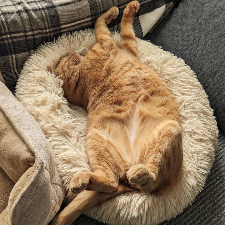 0fe4a982 59c3 428a 800f cc7dc45a7c97 1689923343935