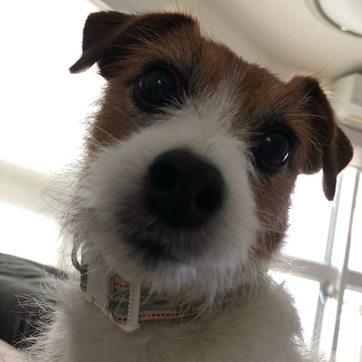 0fe4aa94 ae0d 47eb 96e9 15730b151579 1588764011924