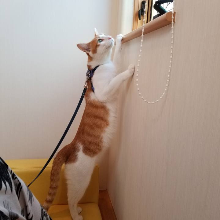 0fe4bf5c ab1b 4043 aca5 c93505bd5b7d 1536370461094