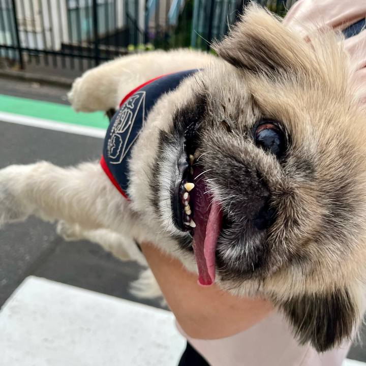 0fe4da45 ca1f 453f 88f7 4e16976c45b7 1747819979672