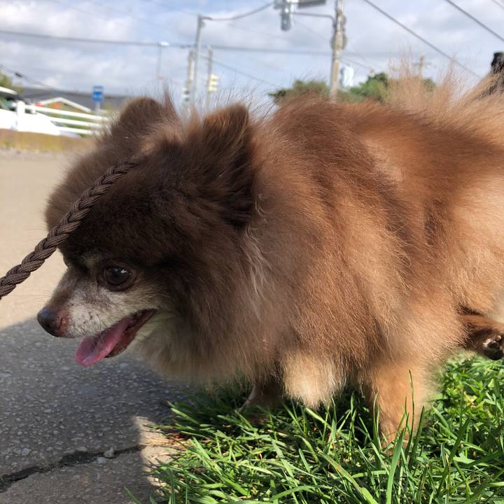 0fe4fae1 20e9 4933 9b52 7b9f482abb1a 1633306331222