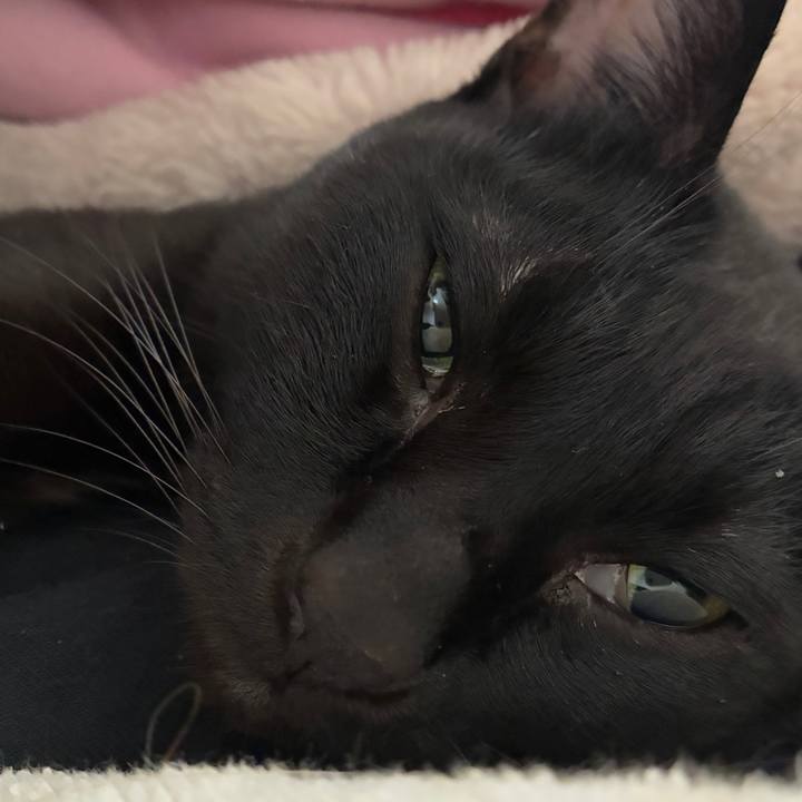 0fe508c1 89ff 44b1 ad83 5e3a4bc968ba 1767142067110